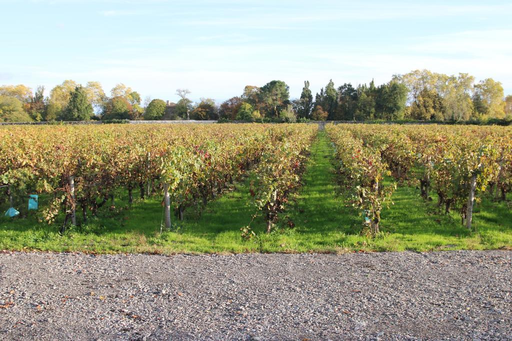 Chateau Beau-Site Portets Exterior photo